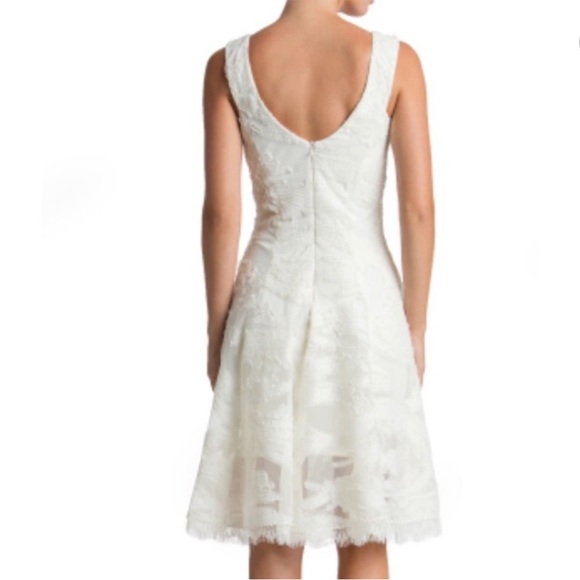 DRESS the POPULATION NWT Ivory Maya Lace Mesh Overlay Fit 'n Flare Dress, M - Picture 3 of 16